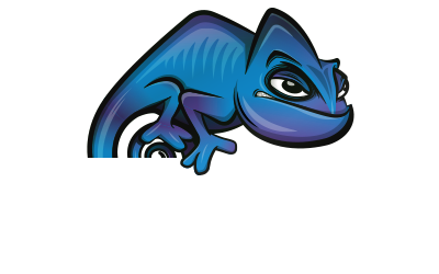 Adaptive automotive